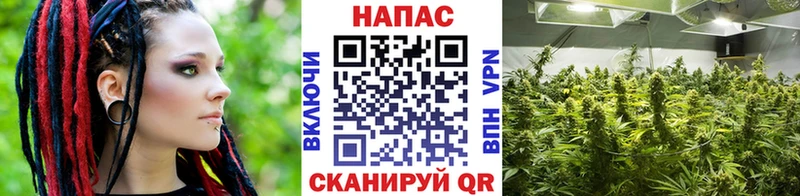 Конопля конопля Купить Волжский